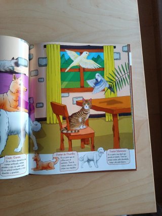 El mundo de los animales del bosque 4 libros