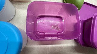 Lote Tupperware/tupper Plástico Varios Colores