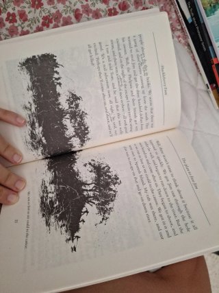 Ｔｈｅ　ａｄｖｅｎｔｕｒｅｓ　ｏｆ　Ｈｕｃｋｌｅｂｅｒｒｙ　Ｆｉｎｎ