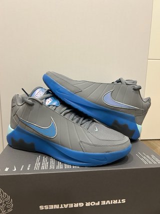 Zapatillas Nike LeBron Witness 9 Azul/Gris