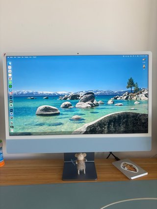 Apple iMac 24 M1 2021 8GB pantalla defectuosa