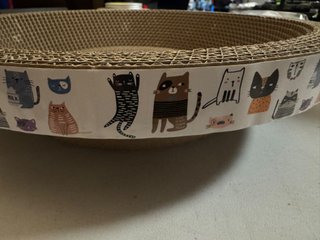 Rascador Gato Redondo Cuenco Cama