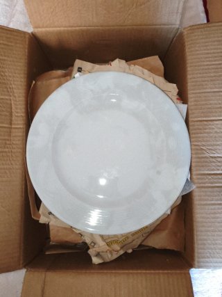 Lote de 12 Platos Llanos de Porcelana
