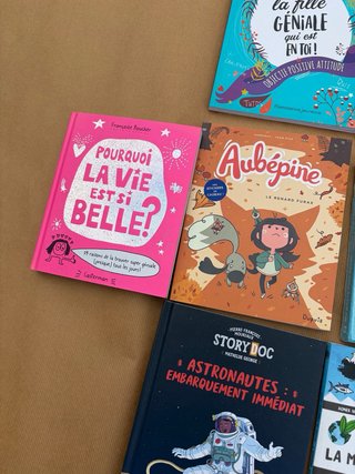 Lotto di 10 libri per bambini in francese