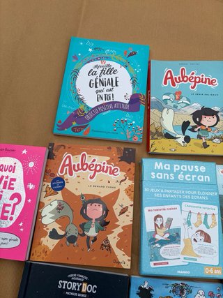 Lotto di 10 libri per bambini in francese