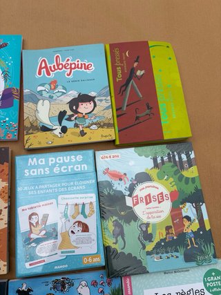 Lotto di 10 libri per bambini in francese