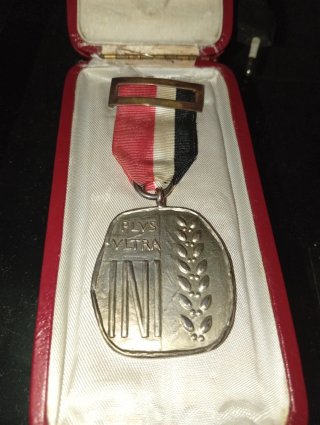 Medalla Plus Ultra INI
