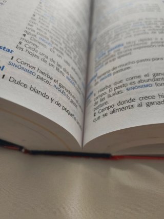 Diccionario Primaria lengua española