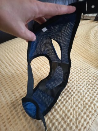 2Bragas higiénicas para perras Talla L