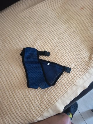 2Bragas higiénicas para perras Talla L
