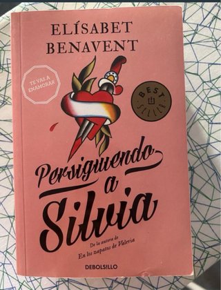 Persiguiendo a Silvia