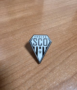 Pins de fútbol Liga Francesa – Escudos de equipos