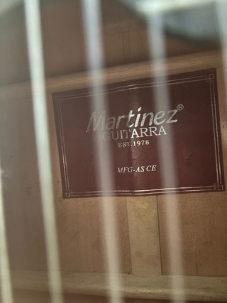 Guitarra Amplificada Martinez MFG