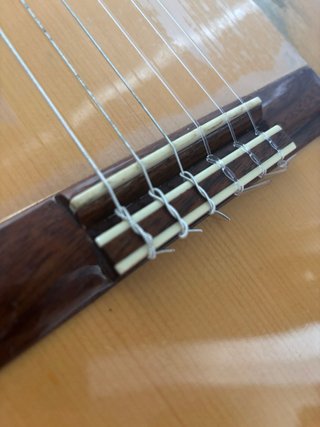 Guitarra Amplificada Martinez MFG