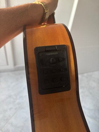 Guitarra Amplificada Martinez MFG