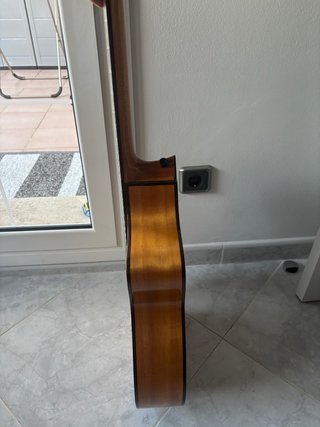 Guitarra Amplificada Martinez MFG
