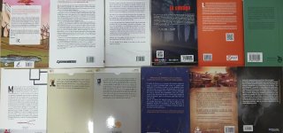 Lote de 12 libros