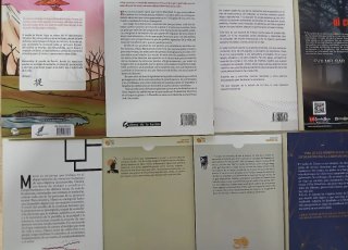 Lote de 12 libros