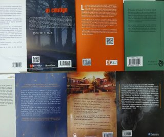 Lote de 12 libros