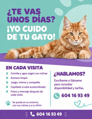 Cuidado de gatos en Granada