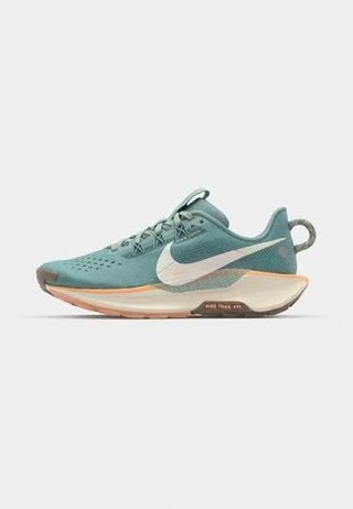 Zapatillas Nike Pegasus Trail