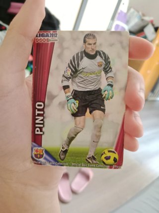 Cromo Pinto Liga 2012