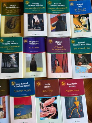 Lote 29 libros clasicos en Español