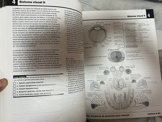 Libro de anatomía