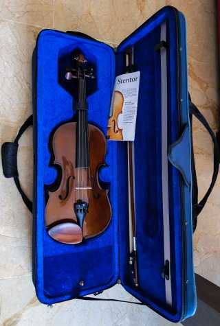 Viola Stentor Student I 14