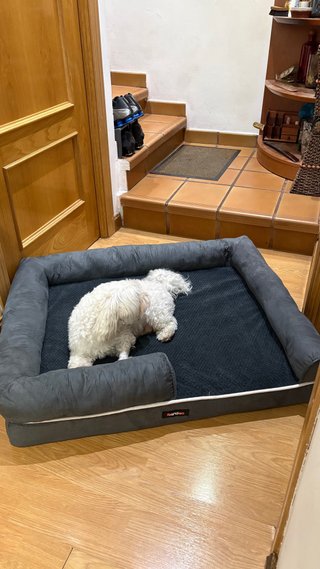 Cama para perros 91x63x18 cm