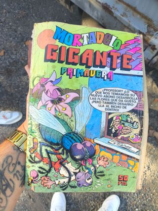 Vendo muchos comics de Mortadelo y filemon