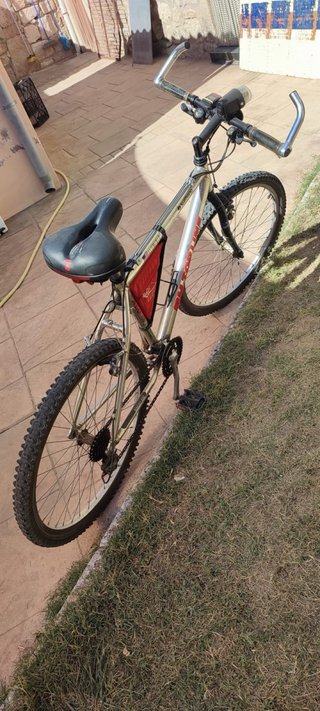 Bicicleta de Montaña Plateada