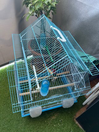 Jaula para Pájaros