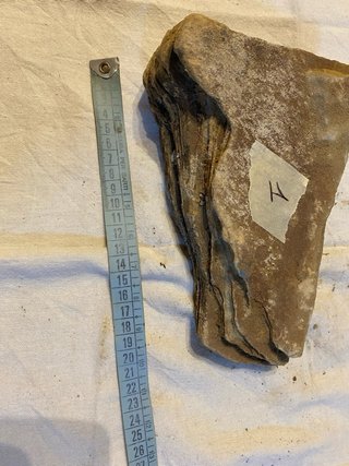 Roccia vera per acquario