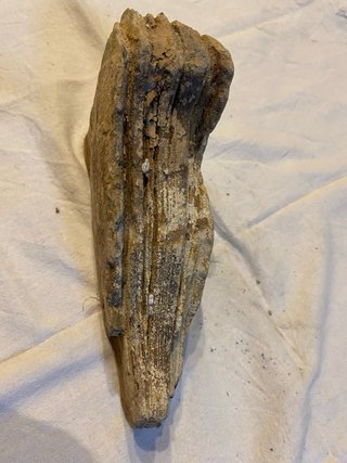 Roccia vera per acquario
