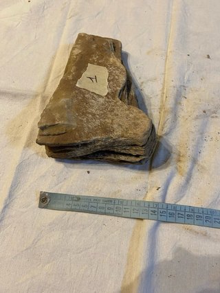 Roccia vera per acquario