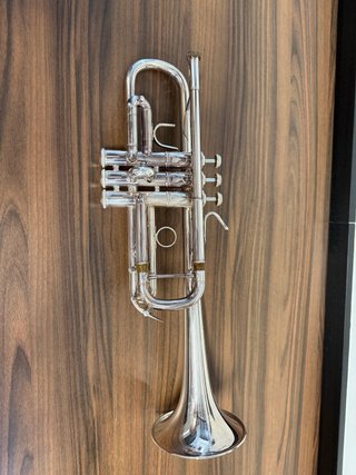 Trompeta Bach Stradivarius 229 / Tudel 25H