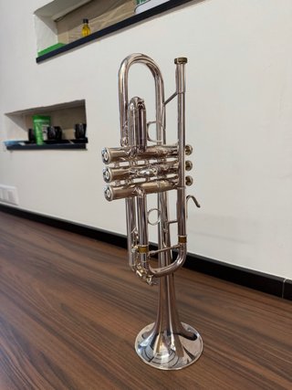 Trompeta Bach Stradivarius 229 / Tudel 25H