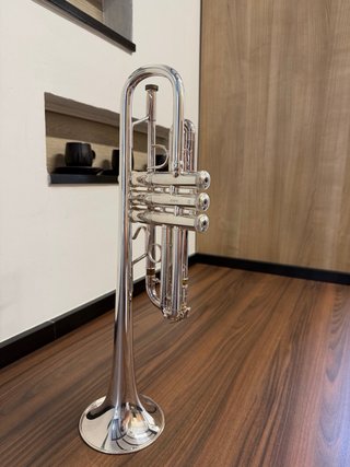 Trompeta Bach Stradivarius 229 / Tudel 25H