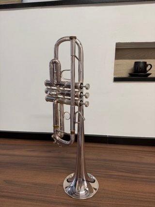 Trompeta Bach Stradivarius 229 / Tudel 25H