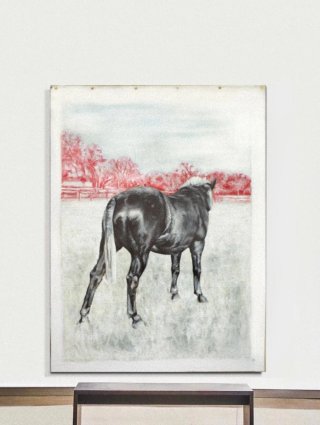 Cuadro de Caballo