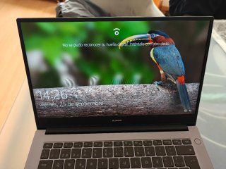 Portátil Huawei Matebook D14