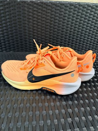 Zapatillas Nike Pegasus Trail 42