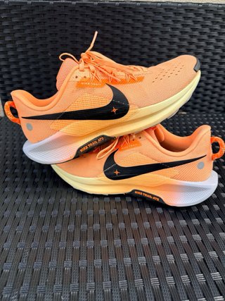 Zapatillas Nike Pegasus Trail 42