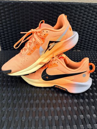 Zapatillas Nike Pegasus Trail 42