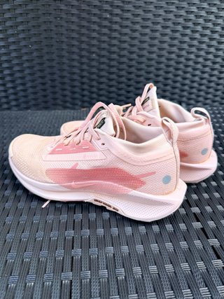 Zapatillas Nike Pegasus Trail Gtx 38.5
