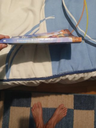 Libro de lectura