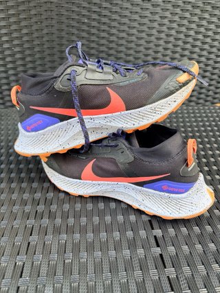 Zapatillas Nike Pegasus Trail 4 GTX