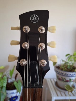 Yamaha Revstar RSE20 + EXTRAS (Pastilla y funda)