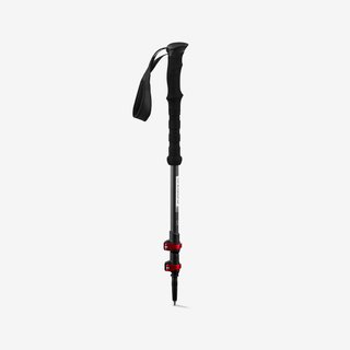 2 BASTONES CORTO Fuji Carbon